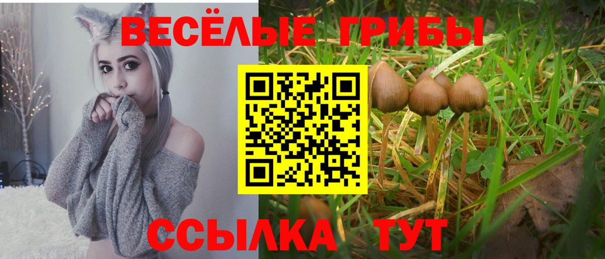 наркотики  Псилоцибиновые грибы Psilocybe  Вход с VPN  Топки 